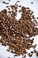 Chocolate (Chile)